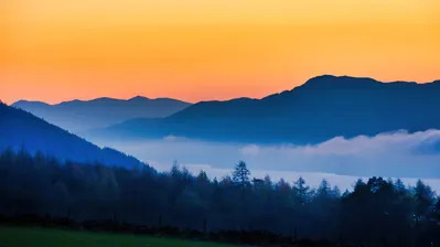 دانلود والپیپر مه جنگل Forest Mountain Fog Nature