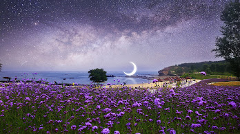 دانلود والپیپر گل اسطوخودوس و ماه Lavender Flowers Nature Moon Night Sky