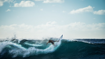 دانلود والپیپر منظره موج‌سواری اقیانوس Wave Surfing Ocean Scenery