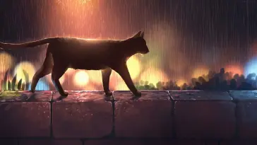 دانلود والپیپر متحرک گربه‌ی سیاه در باران Anime Black Cat in the Rain