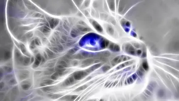 دانلود والپیپر متحرک گربه‌ای با چشمان آبی Cat Blue Eyes