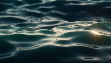 دانلود والپیپر متحرک انعکاس نور خورشید روی آب Flecks Sun on Water