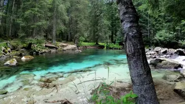 دانلود والپیپر متحرک رودخانه جنگلی Forest River Flowing