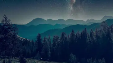دانلود والپیپر متحرک منظره جنگل در شب ستاره‌ای Forest Starry Night
