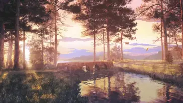 دانلود والپیپر متحرک منظره جنگل در غروب آفتاب Forest Sunset