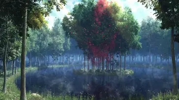 دانلود والپیپر متحرک منظره دریاچه در جنگل Lake in Forest