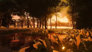 دانلود والپیپر متحرک طبیعت مرداب Marshland