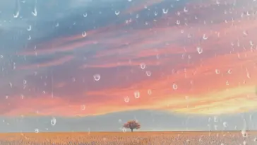 دانلود والپیپر متحرک Nature’s Embrace