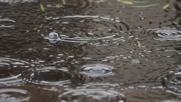 دانلود والپیپر متحرک قطرات باران Raindrops