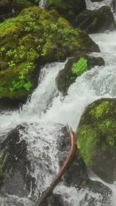 دانلود والپیپر متحرک آبشار خروشان Waterfall