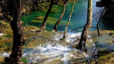 دانلود والپیپر متحرک رودخانه بهاری Spring River